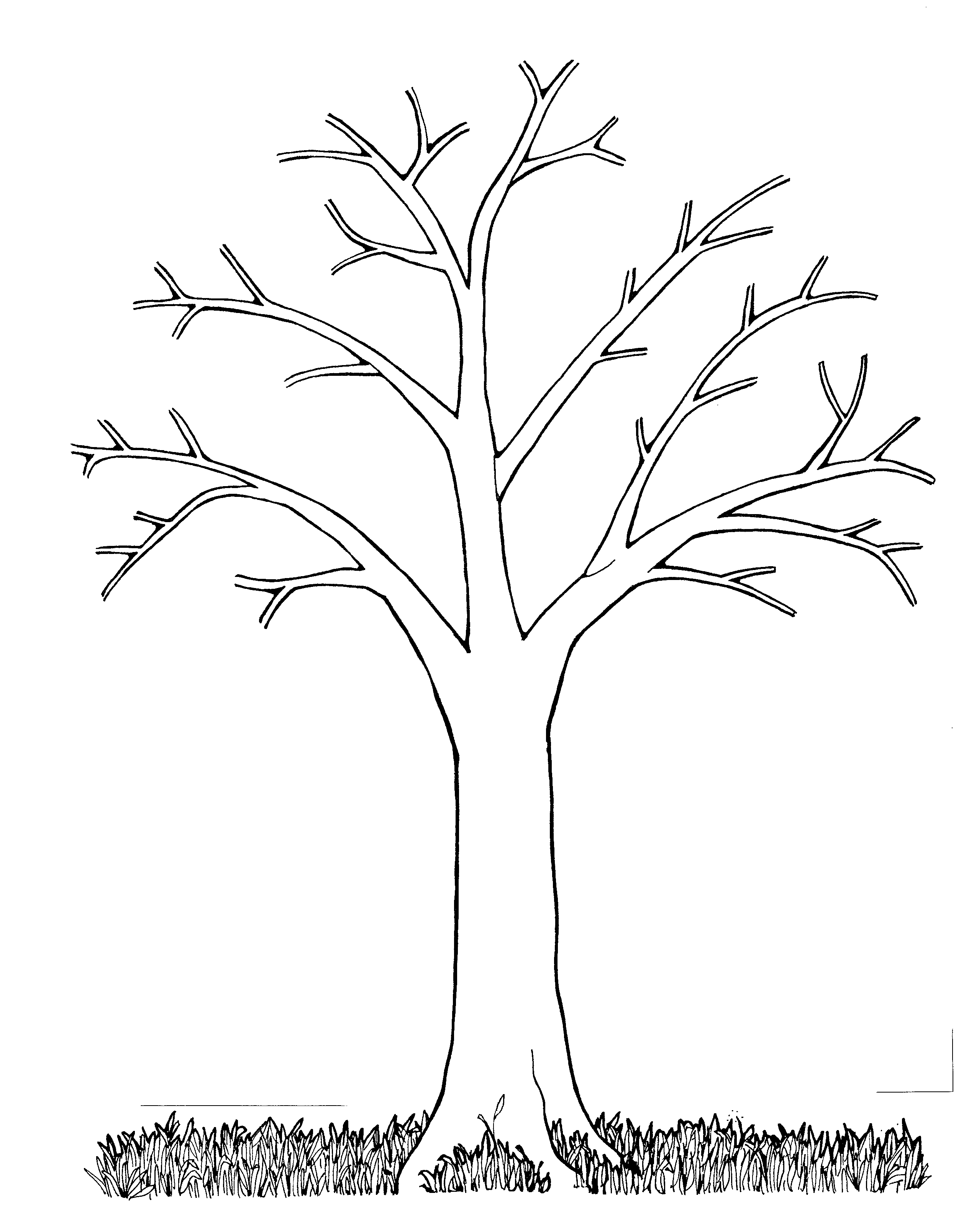 2495x3216 Dead Tree Coloring Page Kids Drawing And Pages Marisa Striking