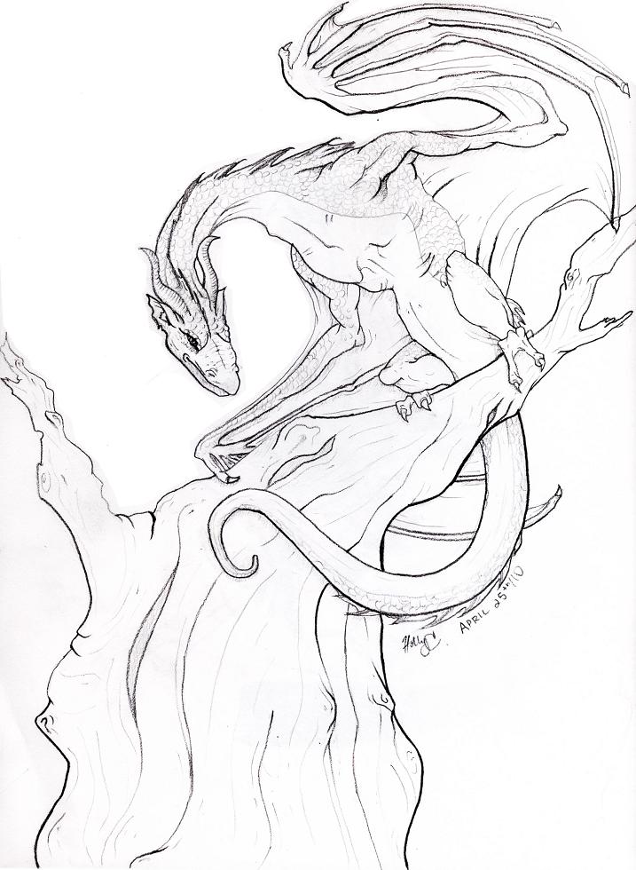 717x980 Dragon In A Tree By Hoolai