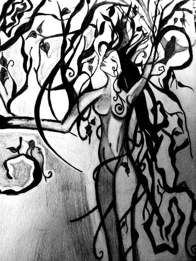 675x900 The Woman Who Became A Tree Drawing By Cat Jackson