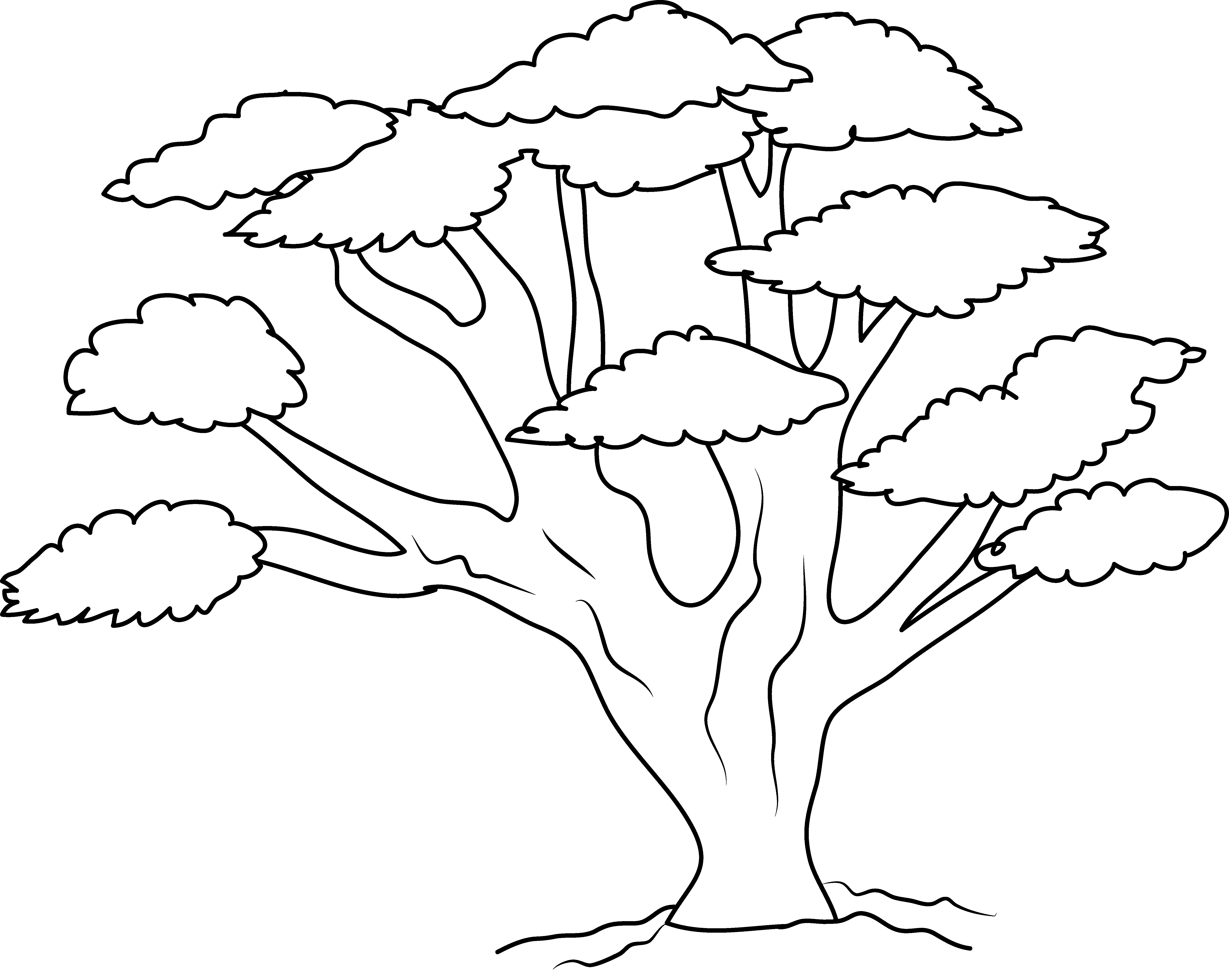 5870x4678 Clip Art Tree Line Drawing Clip Art