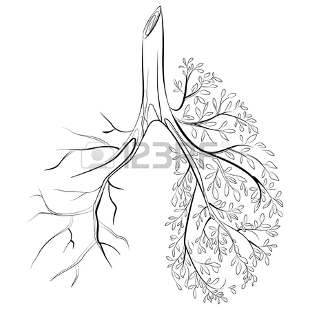 450x450 Human Lungs. Respiratory System. Healthy Lungs. Light In