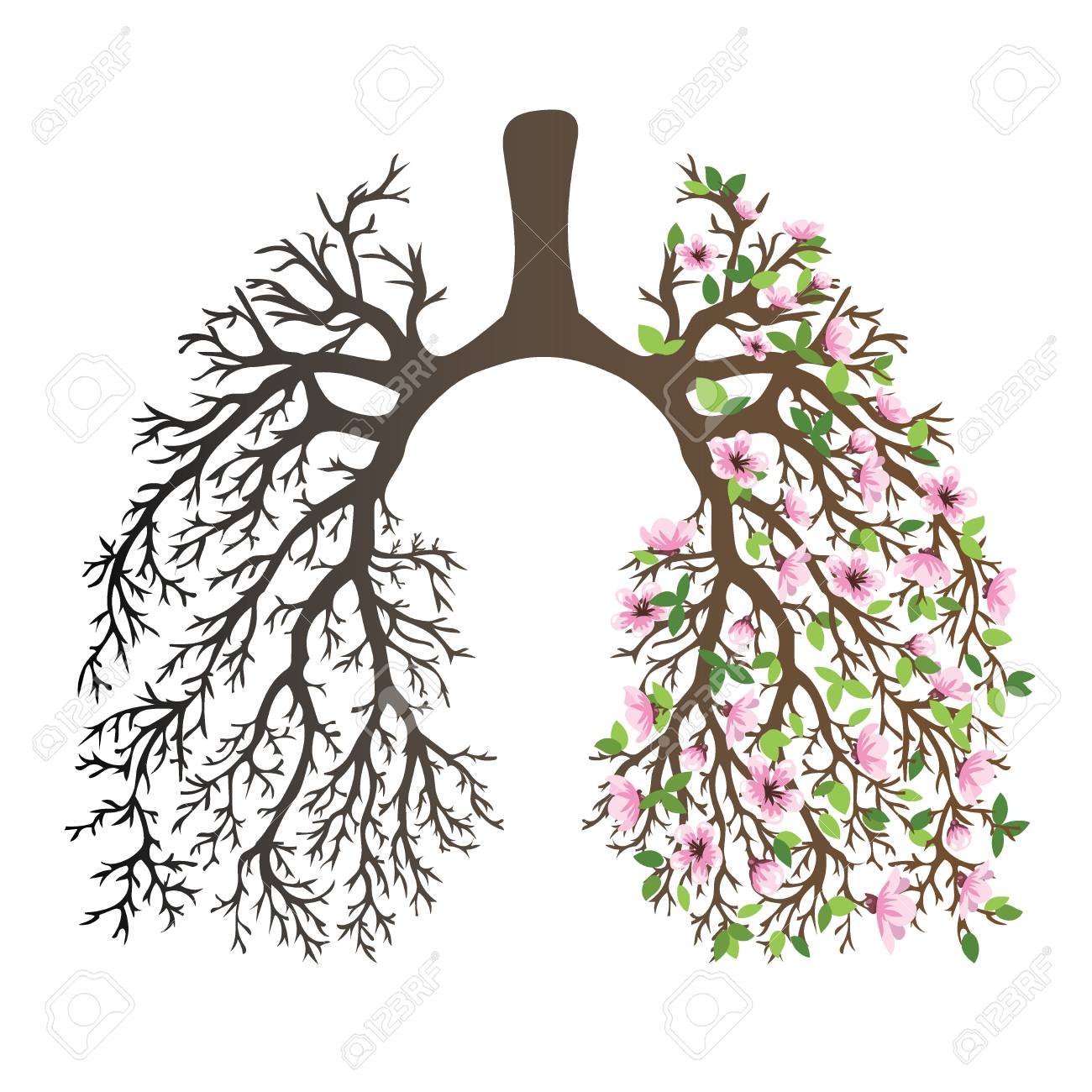 1300x1300 Human Lungs. Respiratory System. Healthy Lungs. Light In The Form