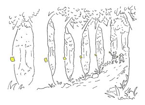 300x218 Tree Line Drawings