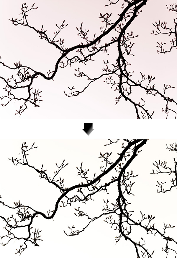 600x870 Mastering The Art Of Black And White Photography