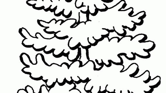 570x320 Pine Tree Line Drawing Black And White Pine Tree Outline Sayings