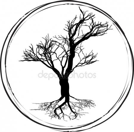 450x444 Stylized Black And White Drawing Of A Branch Of Fig Tree Stock