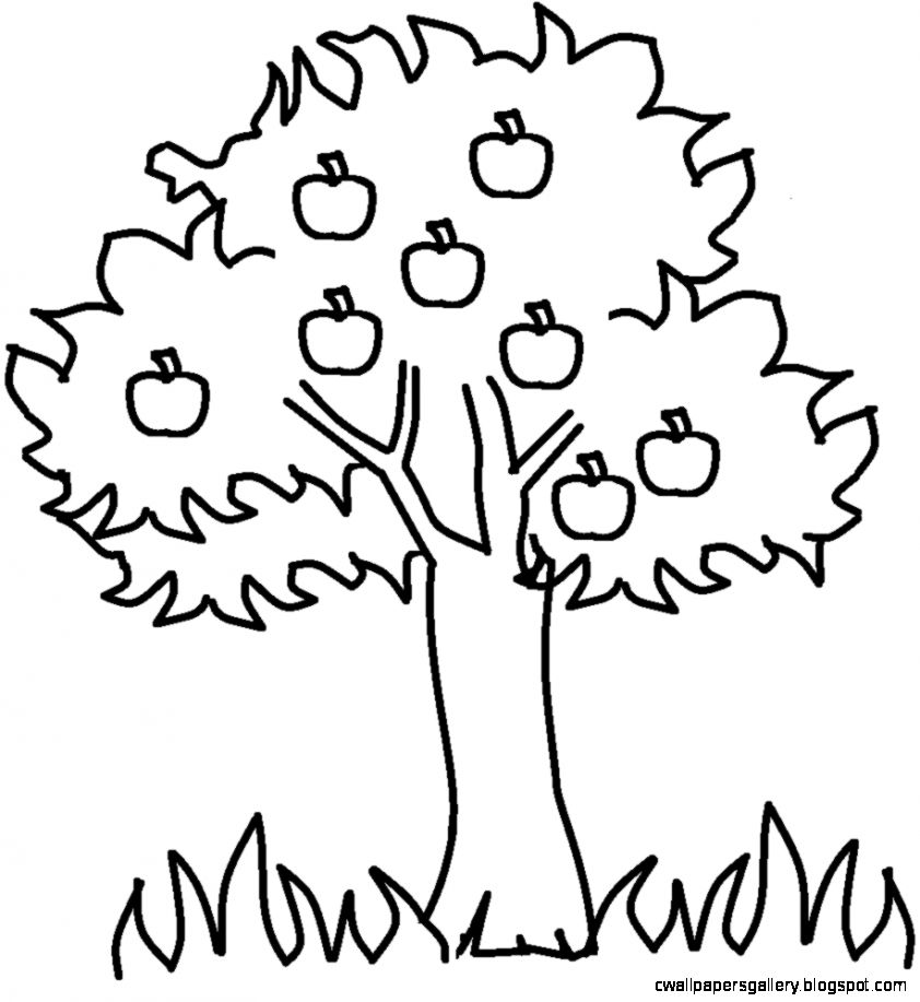 842x917 Tree Black And White Clipart