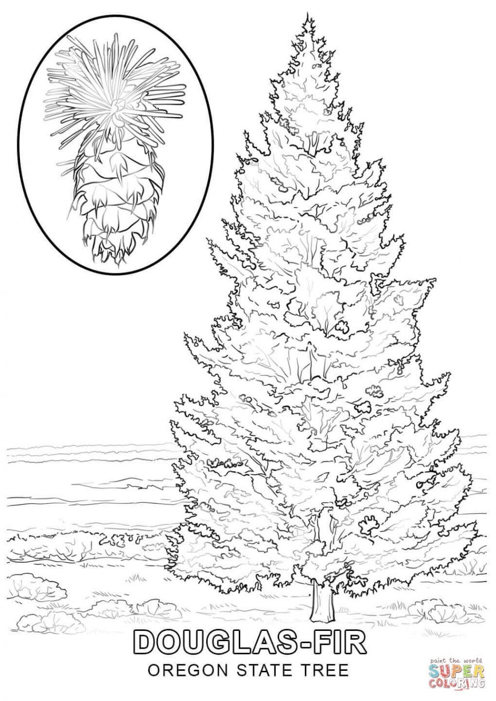 970x1369 Coloring Pages Evergreen Trees Fresh Coloring Pages Coloring Pages