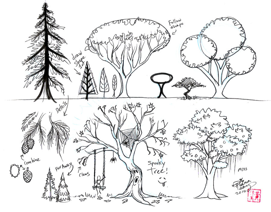 900x704 Draw Trees By Diana Huang