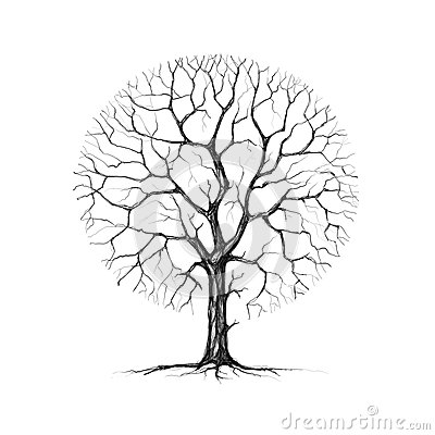 400x400 Photos Free Sketches Of Trees,