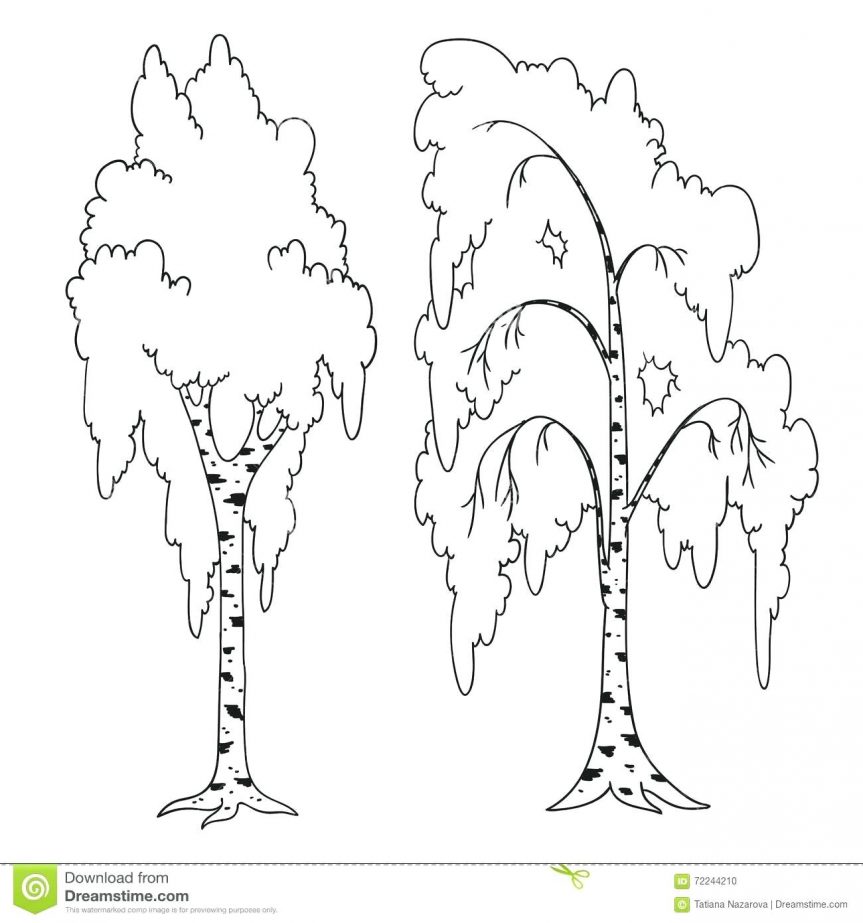 863x923 Royalty Free Illustration Christmas Tree Outline Drawings Trees