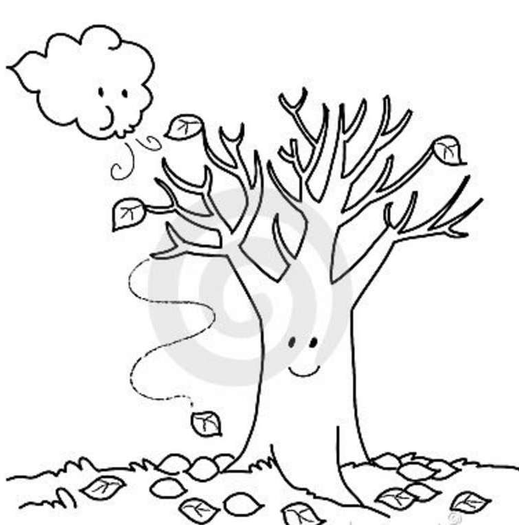 754x764 Coloring Pages Fall Trees Kids Drawing And Coloring Pages