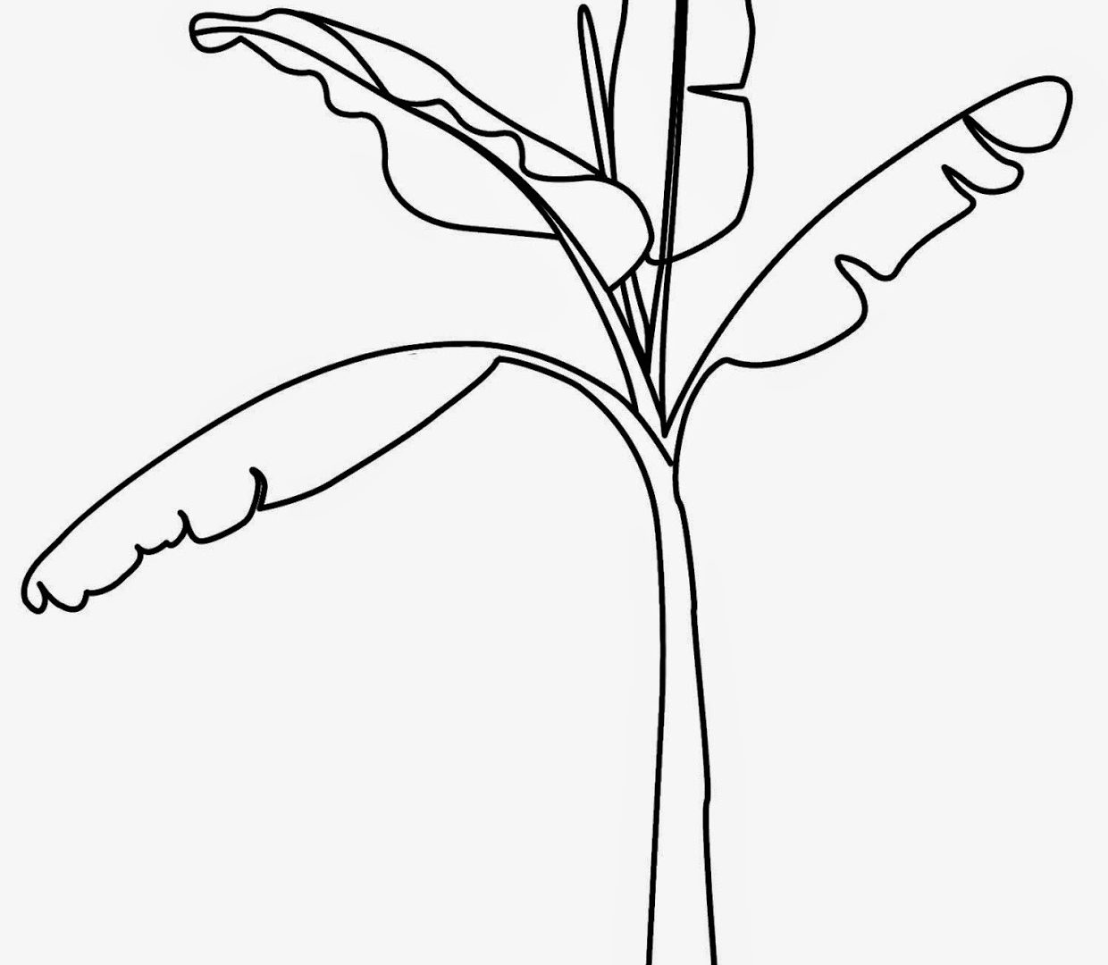 1240x1080 Printable Tree Coloring Pages Pictures Of Banana Trees To Download