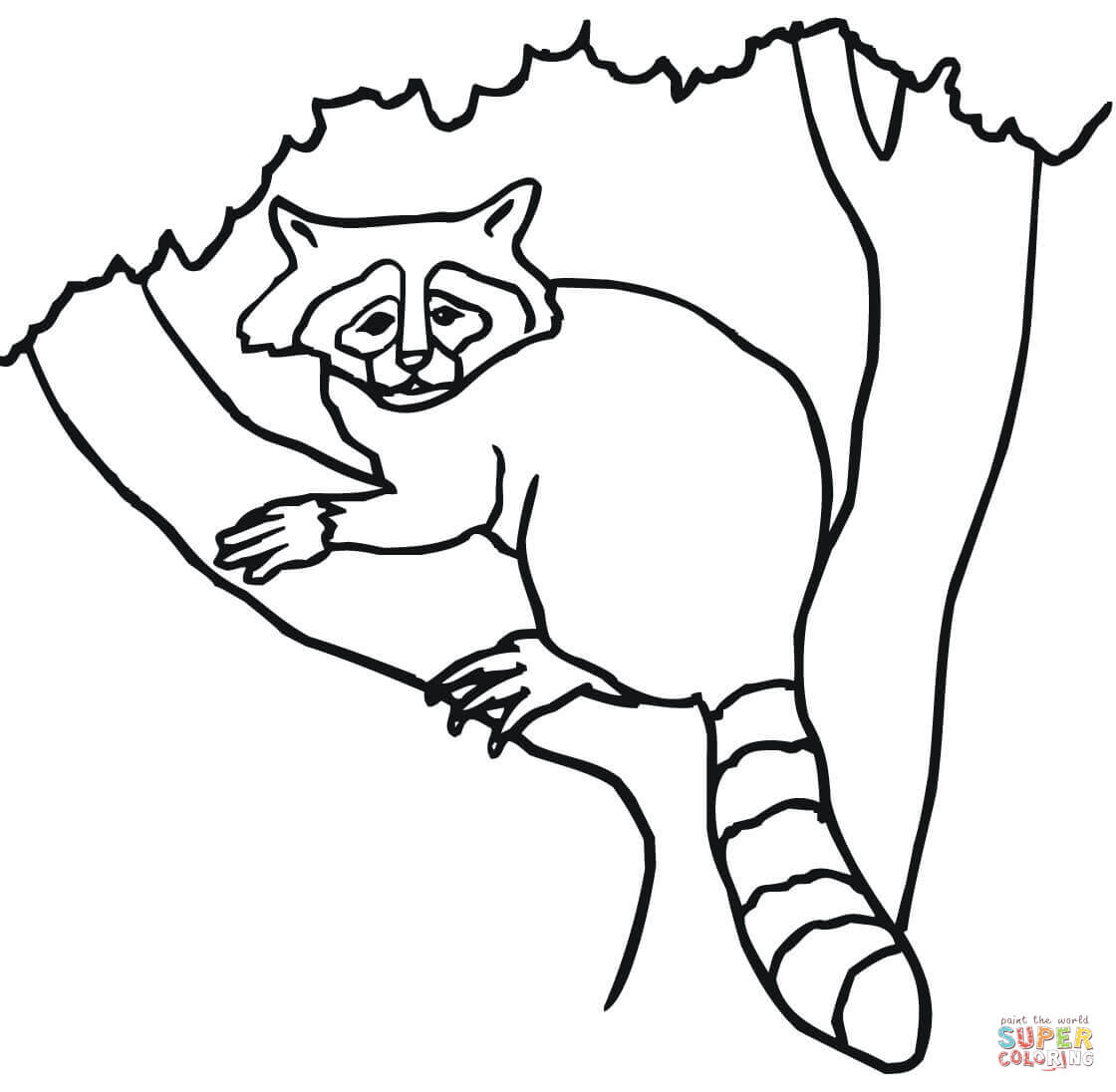 1120x1096 Raccoon On A Tree Coloring Page Free Printable Coloring Pages