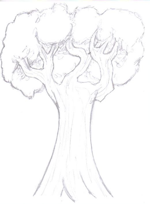 520x707 Drawing Trees How To Draw A Tree Step By Step Hubpages