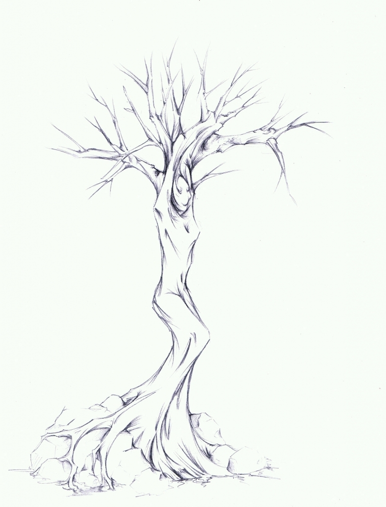 781x1024 Pencil Sketch Of Neem Tree Pencil Sketch Of Trees Pencil Drawing