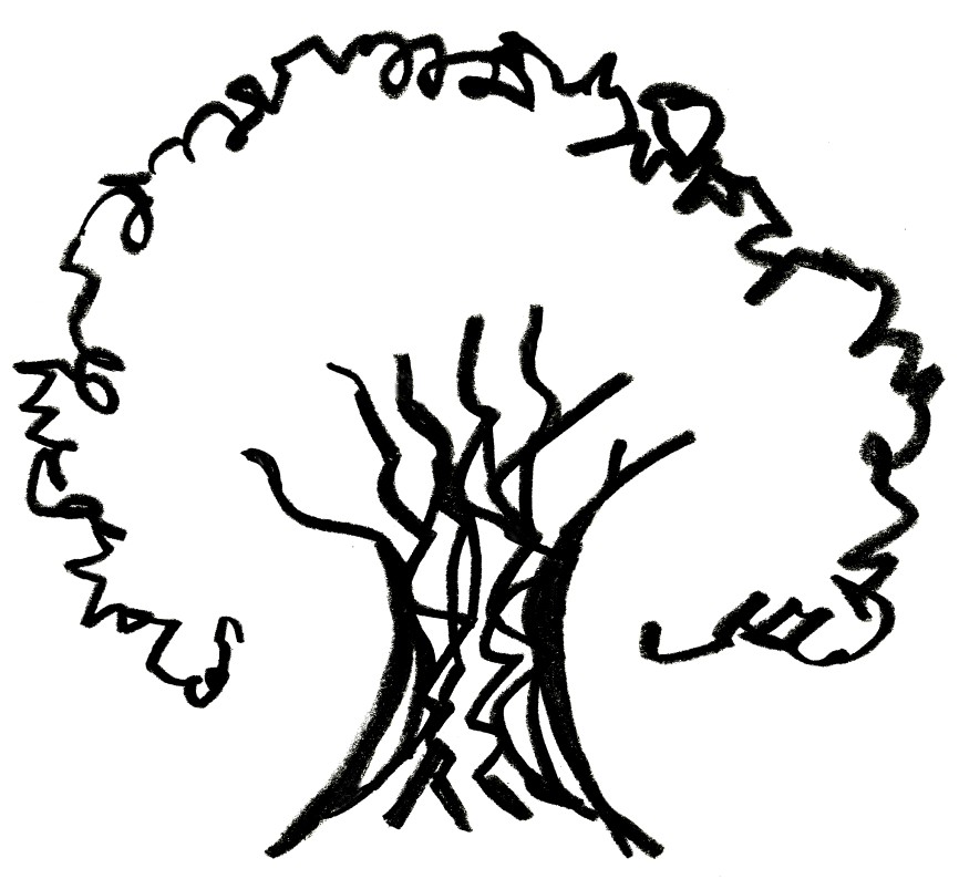 866x794 Oak Tree Line Drawing