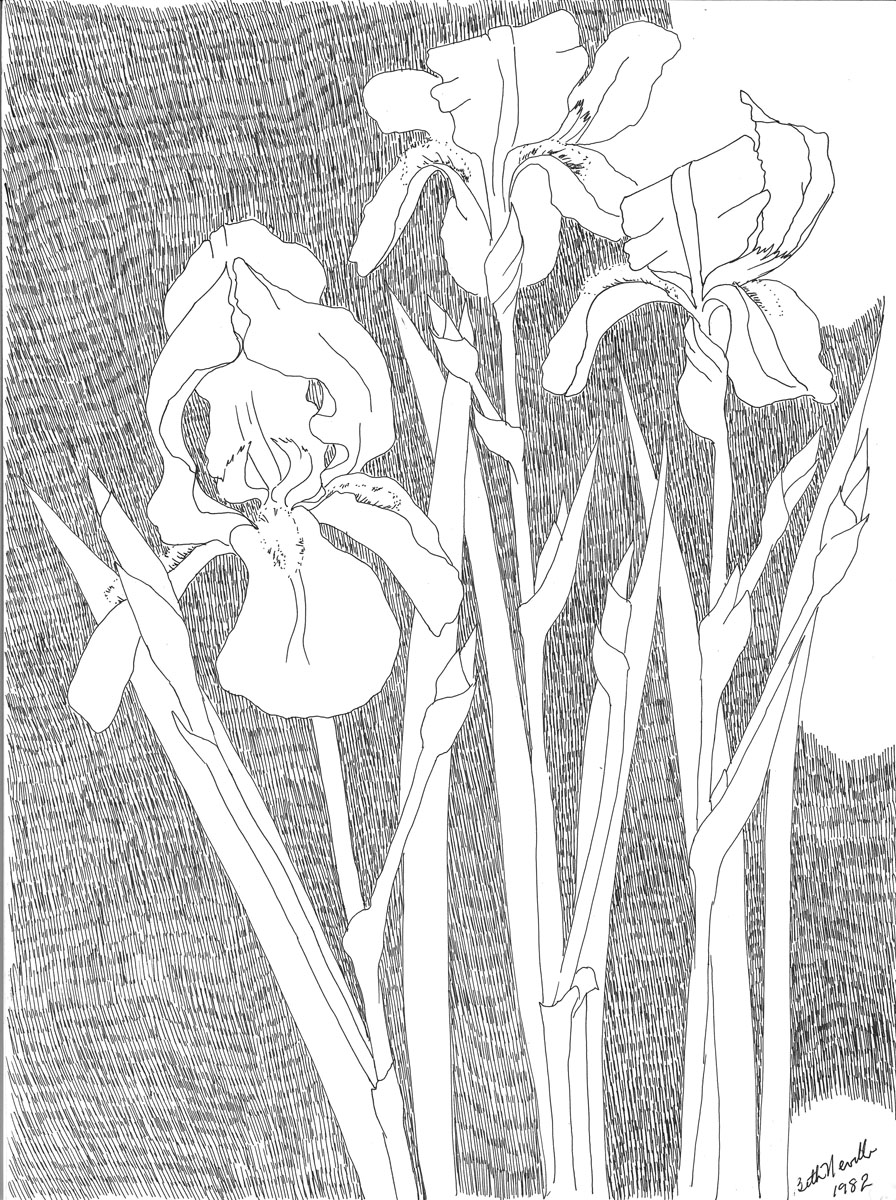 896x1200 Drawings Page 2 Beth Neville