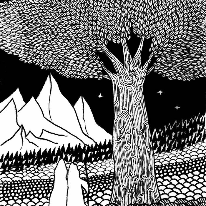 700x700 Eidetic Dreams Of Sentient Trees Elves Amp Dwarves