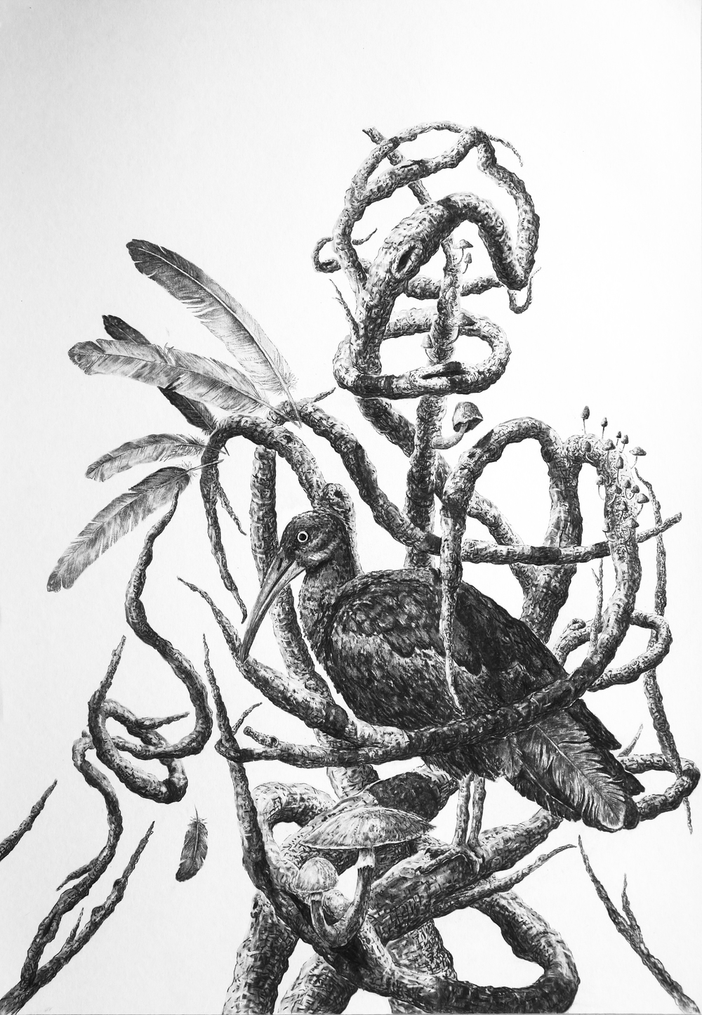 1000x1445 Gawie Joubert