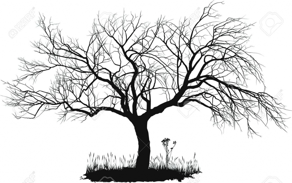 1024x644 Black And White Tree Drawing