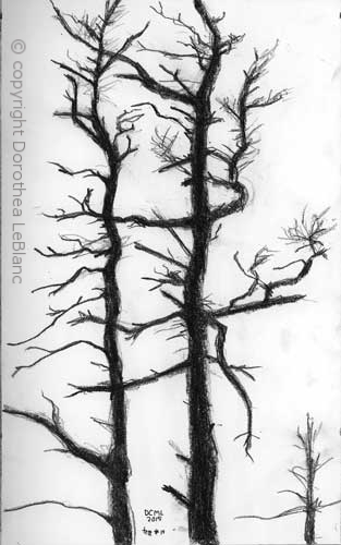 313x500 Realism Dorothea Leblanc Art