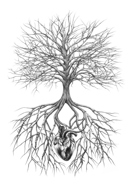 500x750 Tree And Heart Drawing. Broken Roots. Tree Roots. Tree Branches