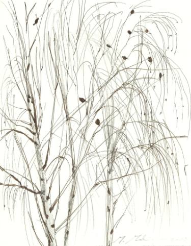375x482 Buy Original Charcoal Tree Drawings Online Saatchi Art