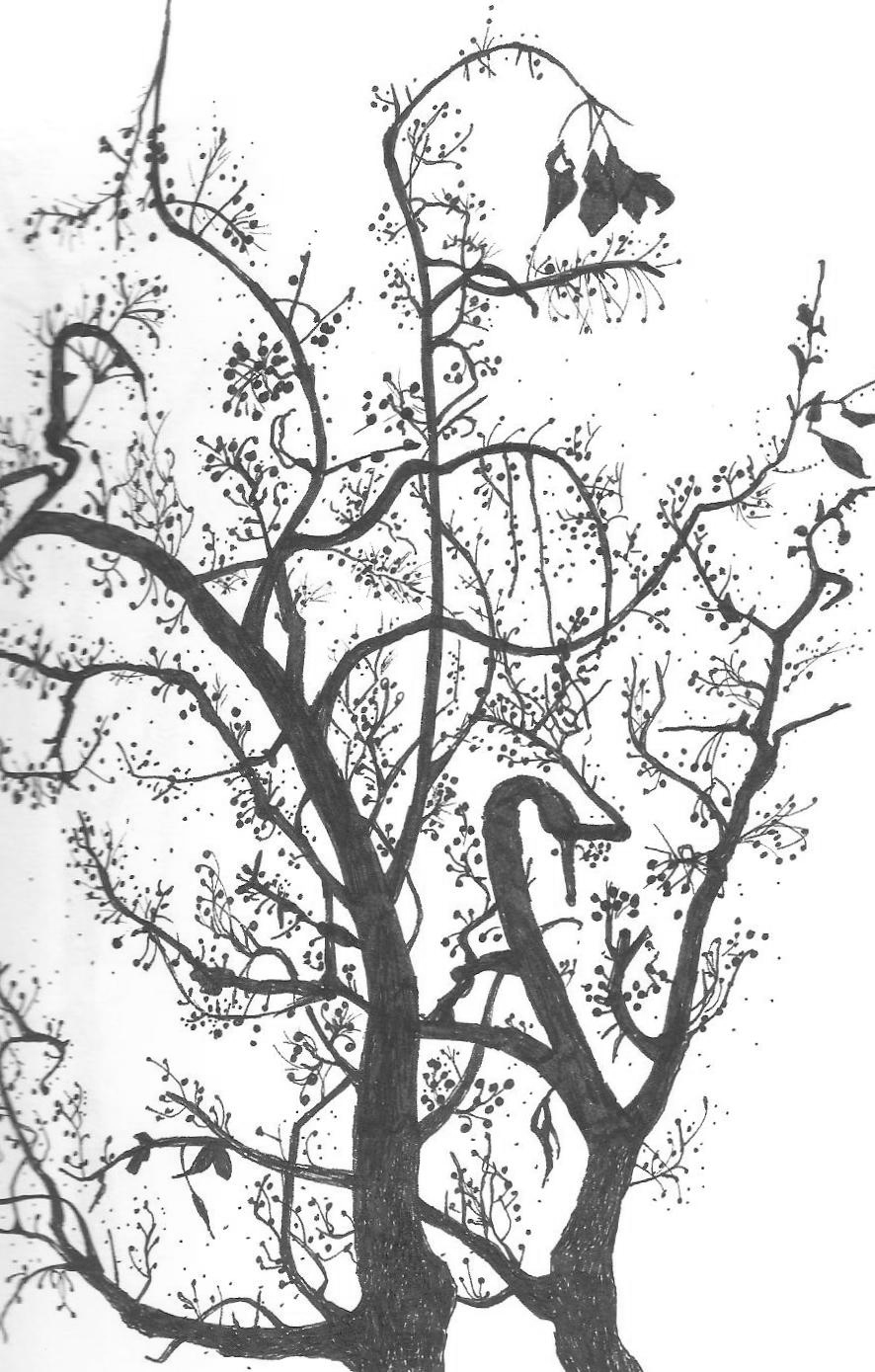 886x1389 Drawing Annie Seikonia