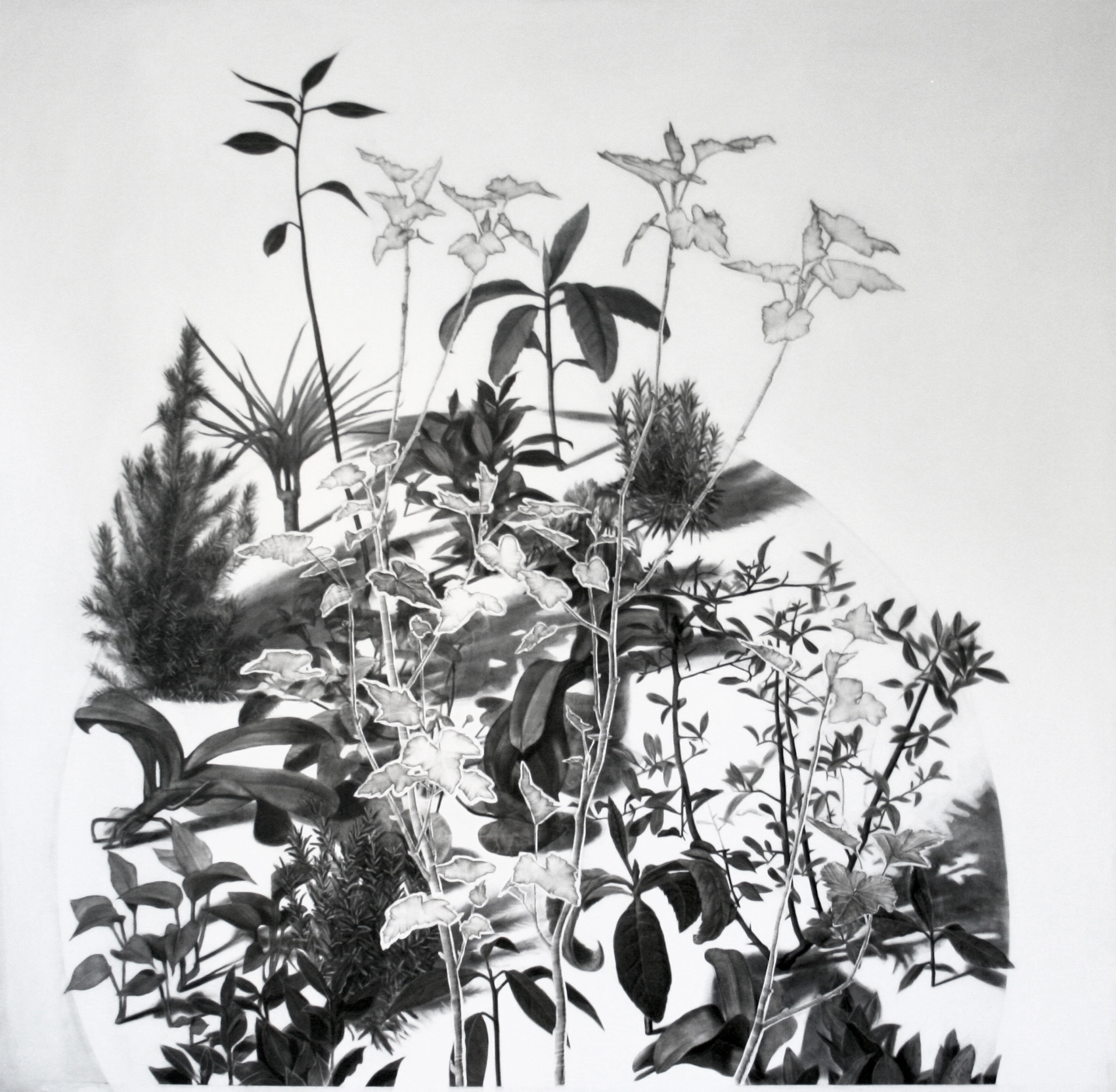 1699x1662 Sanda Skujina