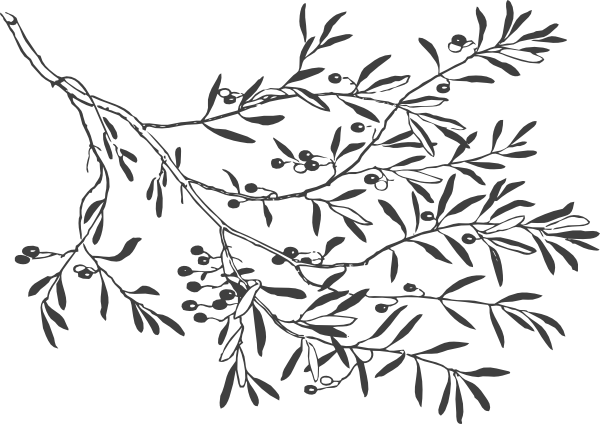 600x424 Charcoal Olive Branch Clip Art