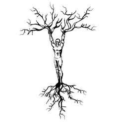 236x248 Pictures How To Draw Tree Roots,