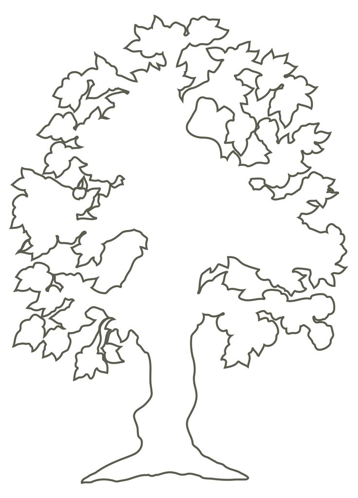 736x1023 Tree With Roots Clipart Outline