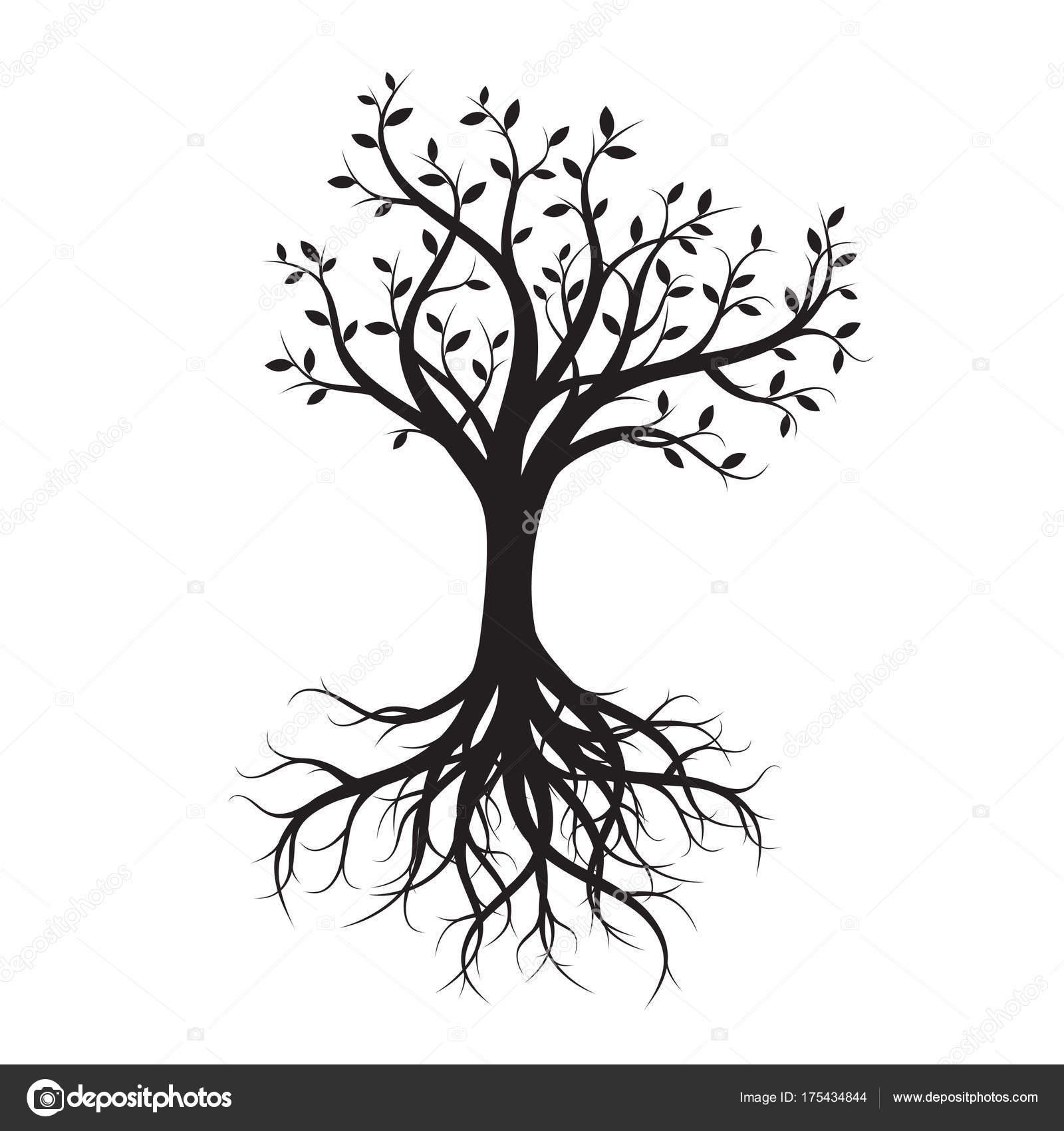 Trees With Roots Drawing at GetDrawings | Free download