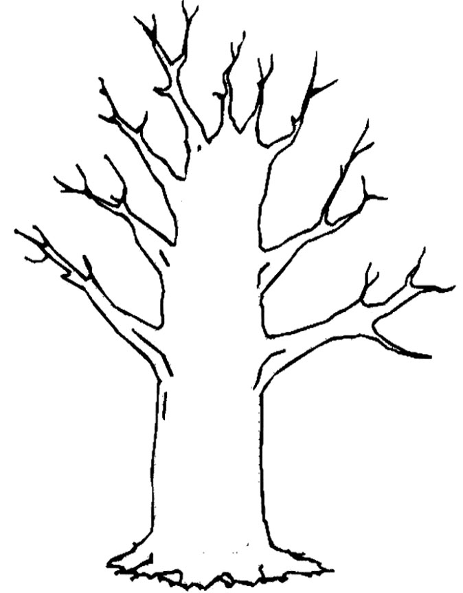 674x863 Outline Of A Tree Without Leaves Coloring Page Free Download