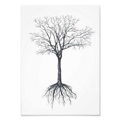 422x422 Tree Without Leaves Photo Print