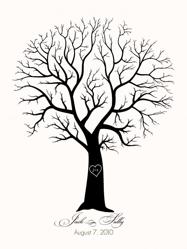 618x824 Adult Tree Without Leaves Template Tree Without Leaves Pattern