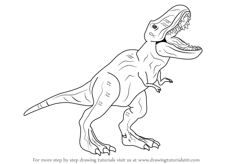800x566 Learn How To Draw A Tyrannosaurus Rex (Dinosaurs) Step By Step