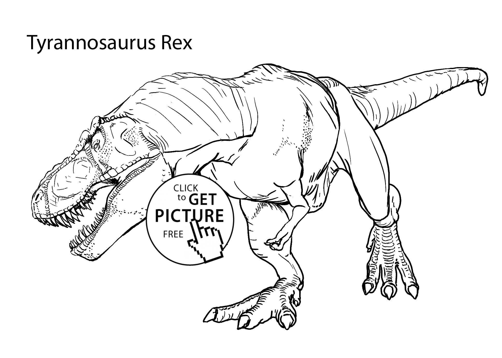 2079x1483 Rex Realistic Coloring Pages For Kids, Printable Free