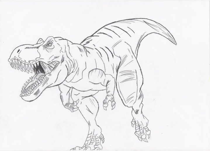 719x517 My T Rex Drawing By Jockiz