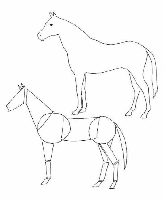 538x652 Basic Two Dimensional Shapes