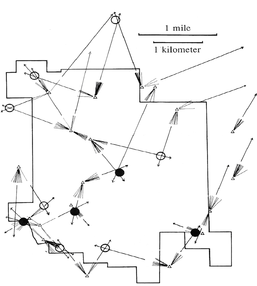 850x944 Map Of The Arnot Forest Showing Sites (Triangles)