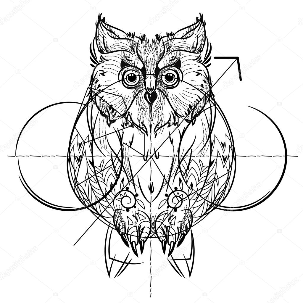 1024x1024 Bird Owl Head Triangular Icon Stock Vector Yazzik