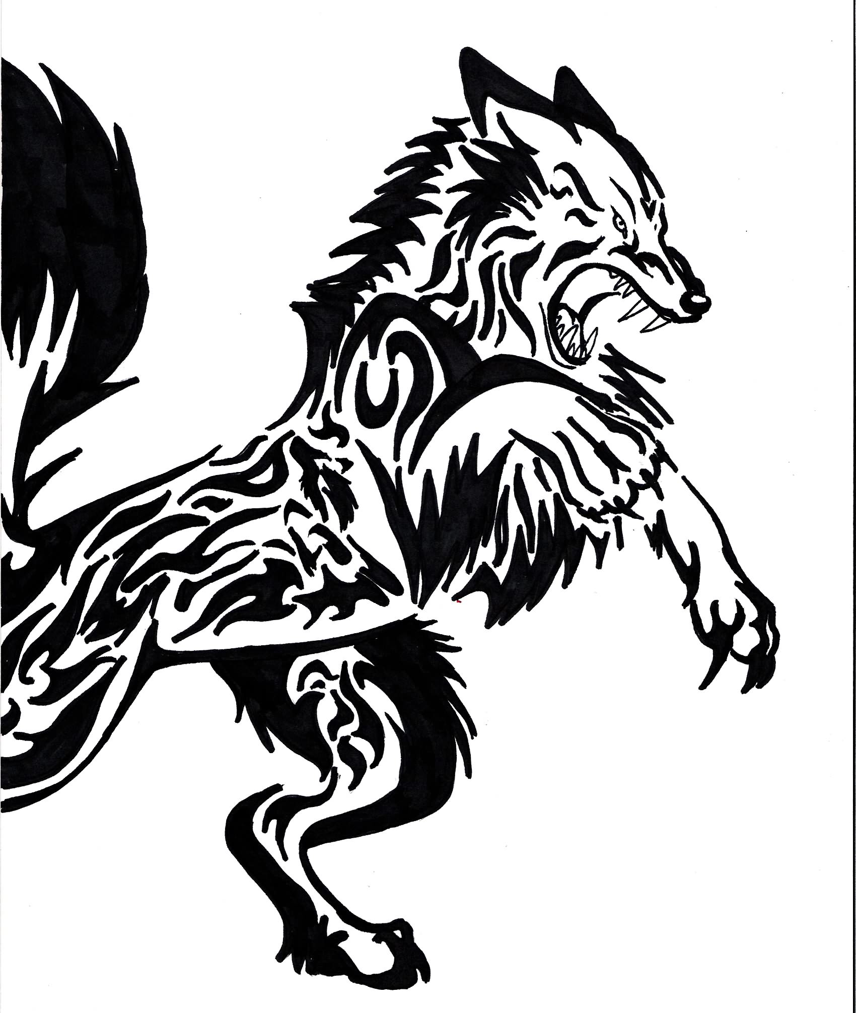 1700x2011 Tribal Angry Lion Tattoo Design