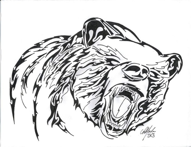 736x568 Tribal Bear Drawings