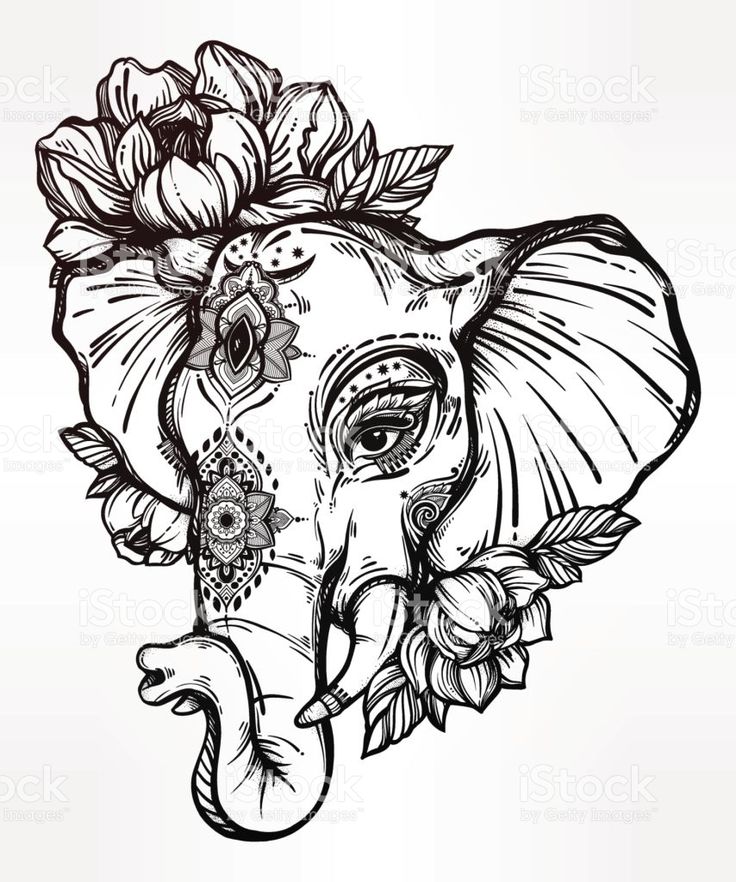 736x882 The Best Tribal Elephant Drawing Ideas On Tribal