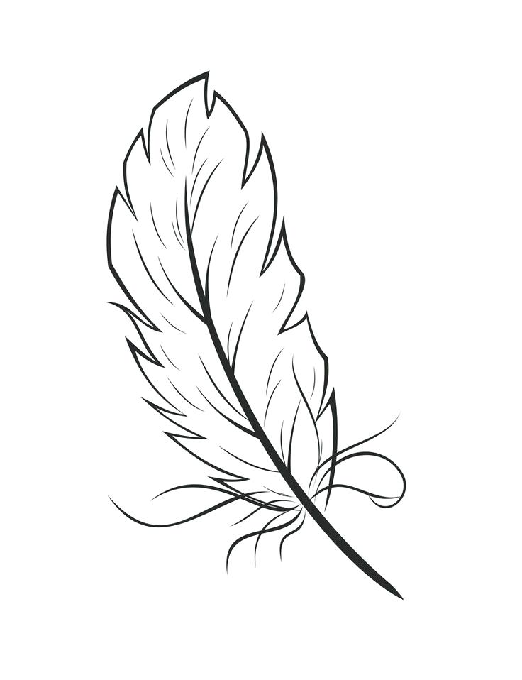 736x958 Feather Coloring Page Art Exhibition Feather Coloring Page Tribal