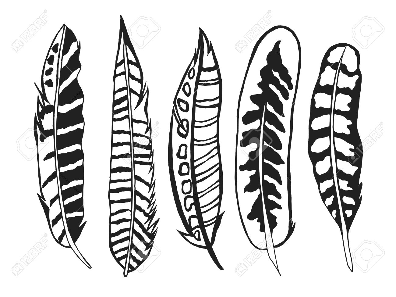 1300x974 Tribal Feathers Set. Black White Hand Drawn Doodle. Ethnic