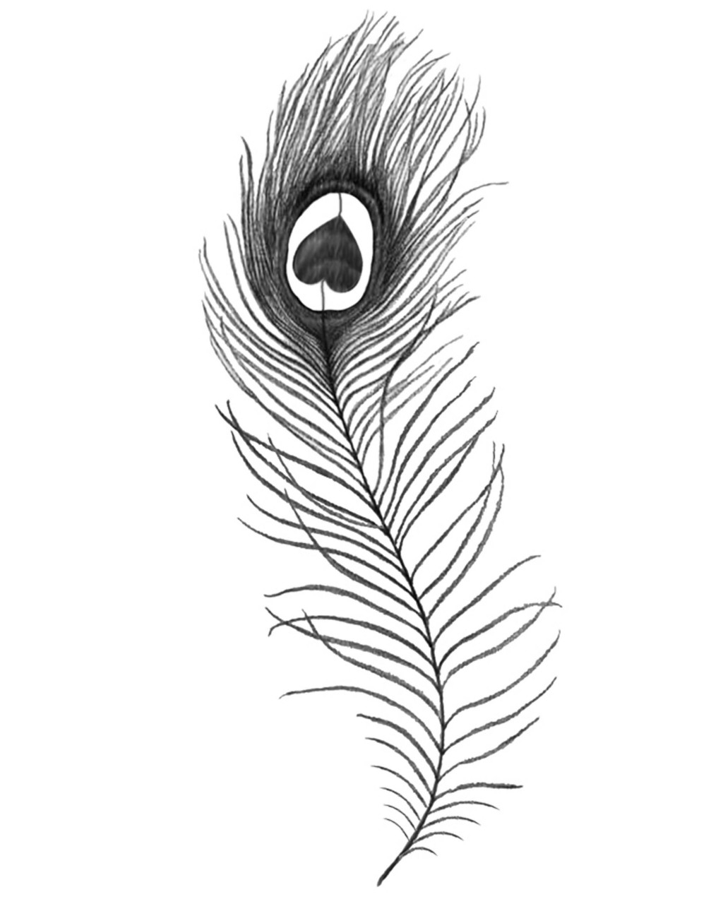 Tribal Feather Drawing at GetDrawings | Free download