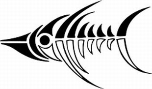 310x181 Drawing Fish Skeleton Clip Art